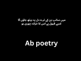 Urdu Poetry Text with Pics